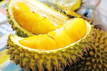 越南榴莲进口清关流程 越南榴莲进口清关流程